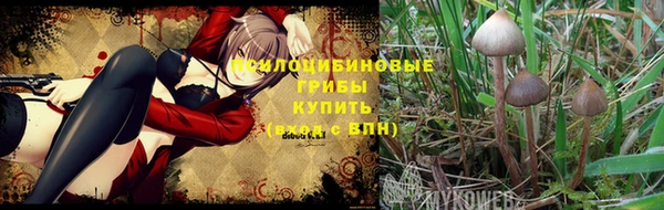 спиды Белоозёрский